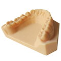 DENTAL model resin - živica pre zubné modelovanie eSUN 1 kg