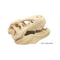 Filement-PM PLA Play Strenge Beige 1,75 mm 1 kg vlákno PM