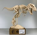 PLA filament Body Skin Human Color 1,75 mm  Aurapol 1 kg